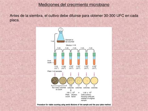 PPT Crecimiento Microbiano PowerPoint Presentation Free Download