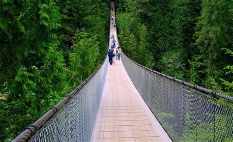 capilano suspension bridge district of north vancouver canada 13 breathtaking places
