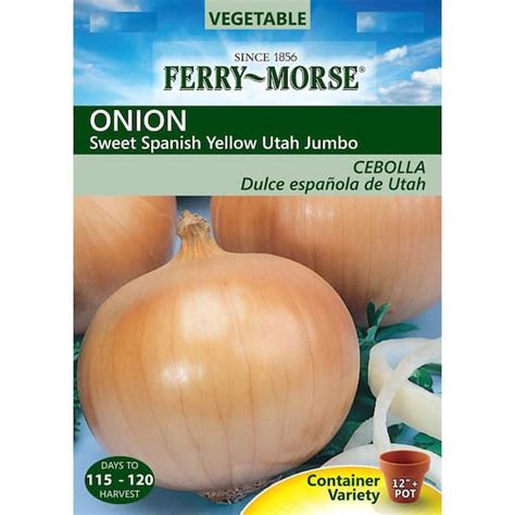 Ferry Morse Onion Sweet Spanish Yellow Utah Jumbo Seed 7466 The Home