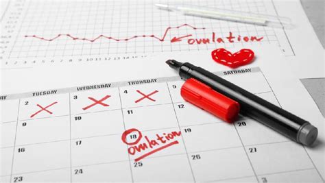 Wanita madu penyubur kandungan mabruroh cache jarak masa subur wanita cara mempunyai setelah menstruasi waktu subur wanita supaya cepat hamil kiraan waktu subur wanita masa. Menghitung Masa Subur Wanita Sebelum Haid untuk Cek ...