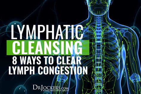 Lymphatic Cleansing 8 Ways To Clear Lymph Congestion Lymphatic
