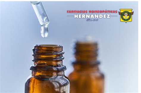 Dulcamara Homeopatia Para Que Serve