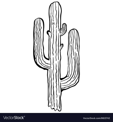 Simple Black And White Cactus Royalty Free Vector Image