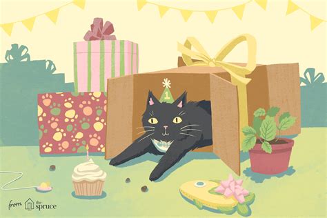 8 Fun Ways To Celebrate Your Cats Birthday