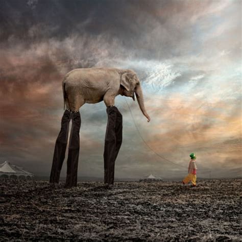 Caras Ionut Photographer All About Photo