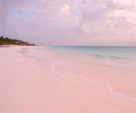 Barbuda Pink Sand Beach Resort Gmm Studio Architect Gaudenzio