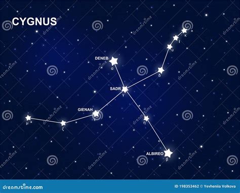 Constellation Of Cygnus In The Starry Cosmic Sky With The Names Of Its