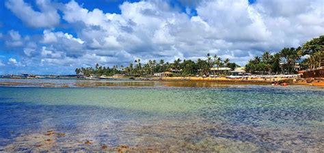 Guia Essencial Do Que Fazer Em Praia Do Forte Praia Do Forte Bahia