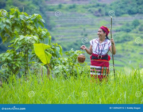 Ifugao Ethnic Minority In The Philippines Editorial Image Image Of