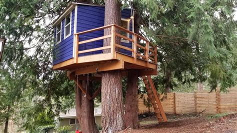 Diy Builders Craft Incredible Treehouses Around The Country Nelson