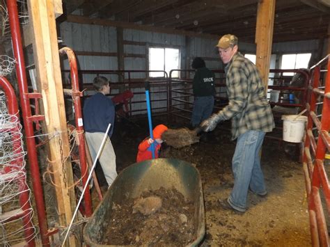 We did not find results for: Using Organic Fertilizers - Our Simple Farm