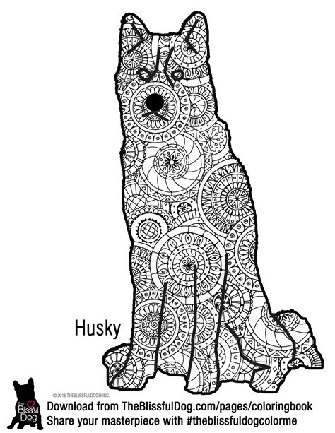 Siberian Husky Adult Coloring Page Coloring Pages