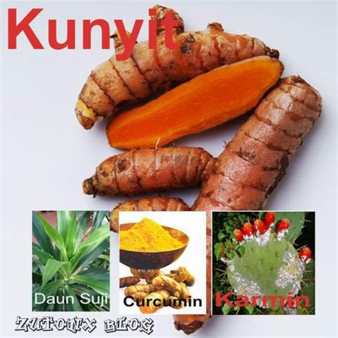 Pewarna makanan pada mie instan. BAHAN KIMIA DALAM MAKANAN (ZAT ADITIF) DAN RUMAH TANGGA