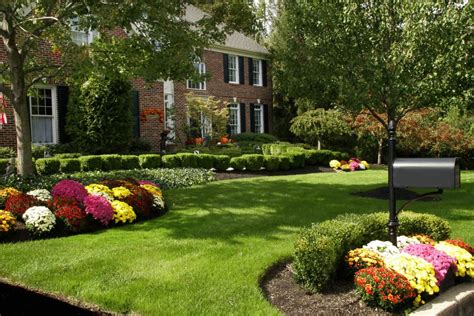 Foundation Plants 16 Shrubs And Plants For The Front Of Your House