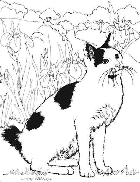 La belle et le clochard de walt disney pictures (1955) : dessin de chat en noir et blanc - Les dessins et coloriage