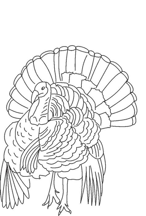 Https://wstravely.com/coloring Page/turkey Coloring Pages Free Printable