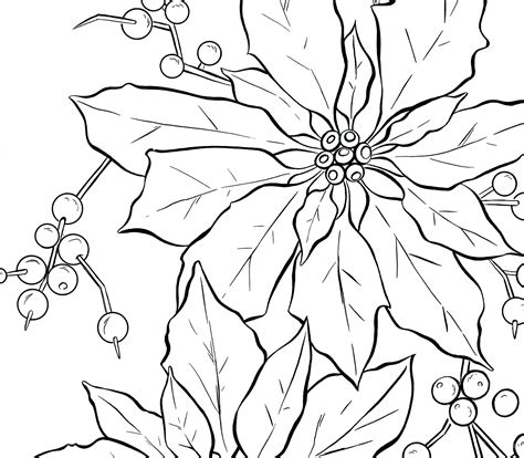 Techniques and step by step tutorials. Poinsettia Line Art - Christmas - The Graphics Fairy
