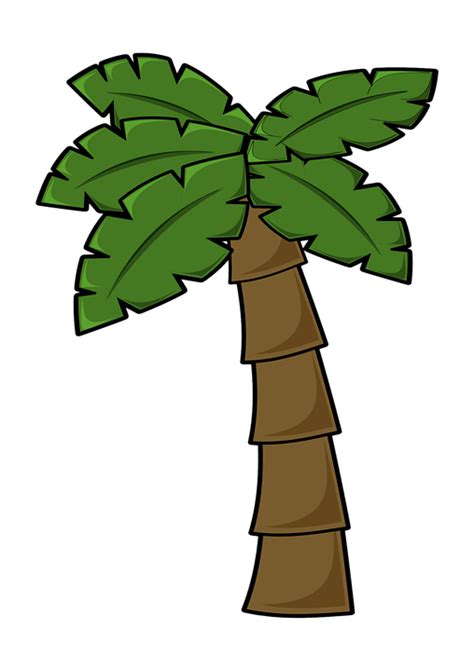 Detail Pohon Kelapa Cartoon Koleksi Nomer 24