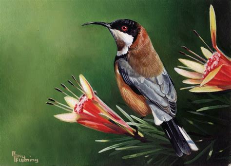 Garry Flemings Wildlife Paintings From Around The World On Show At