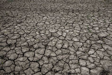 Dry Cracked Ground Free Stock Photo - Public Domain Pictures