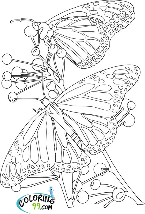 Butterflies free printable coloring pages. Butterfly Coloring Pages | Team colors