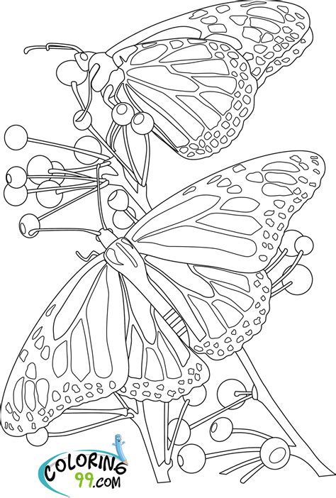 11 spring recipes to welcome warmer days because we can't with winter anymore. Butterfly Coloring Pages | Team colors