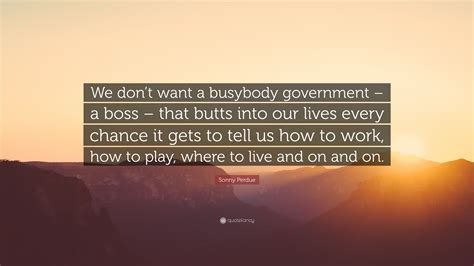 Sonny Perdue Quote We Dont Want A Busybody Government A Boss