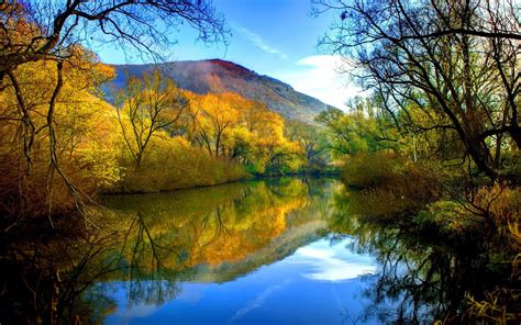 Fall River Peaceful Water Willow With Yellow Leaves Blue Sky Hd Desktop 