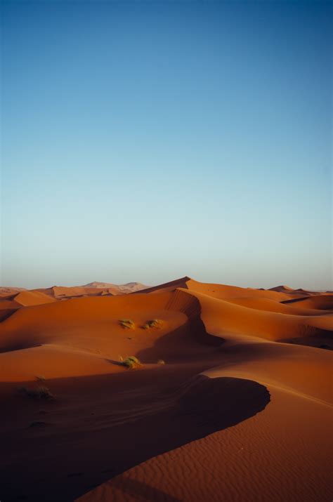 Free Images Landscape Sand Horizon Desert Plain Grassland