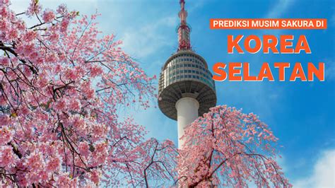 Jika kamu bermimpi tentang mengunjungi korea selatan untuk melihat pemandangan bunga sakura yang indah, berikut adalah tempat terbaik dan perkiraan. Prediksi Musim Bunga Sakura Korea Selatan Tahun 2020 ...