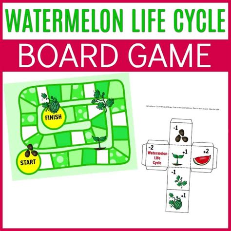 Life Cycle of a Watermelon