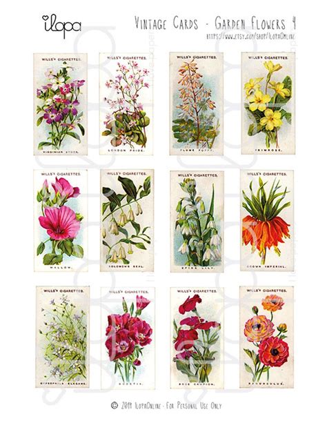 Digital Vintage Garden Flower Ephemera Collage Sheet Etsy