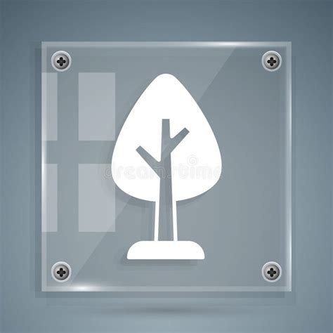 White Tree Icon Isolated On Grey Background Forest Symbol Square