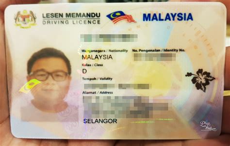 How to apply malaysia driving license. 12 Things You Should Know If You Self Drive in Tasmania ...