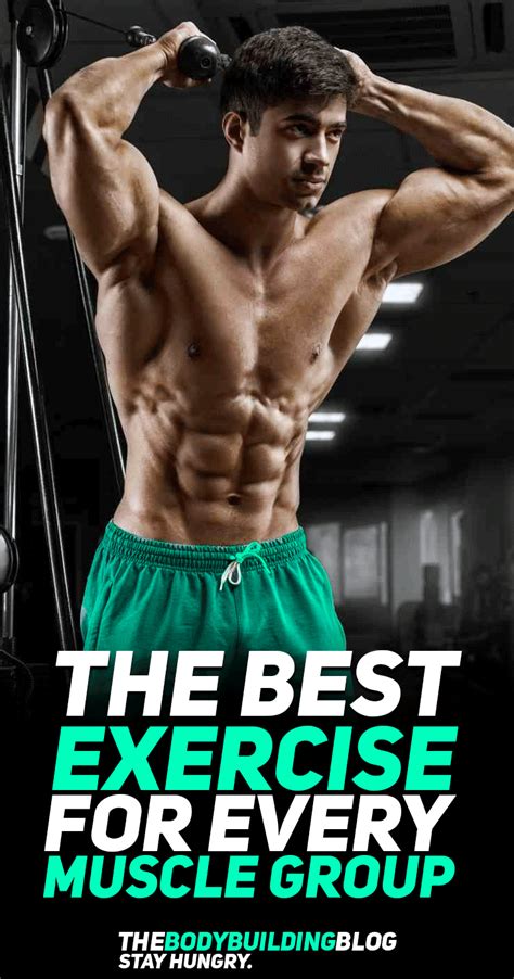 What Are The Best Exercises For Each Muscle Group Thebodybuildingblog