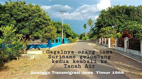 Rumah adat jawa timur masih banyak dilestarikan di beberapa daerah. Kampung Jawa Timur ada di Tongar Sumatra - YouTube