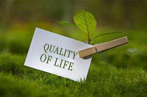 4 Easy Ways To Improve Quality Of Life Futureentech
