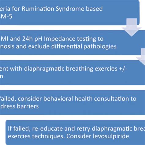 The Recommended Approach To Diagnosis And Management Of Rumination