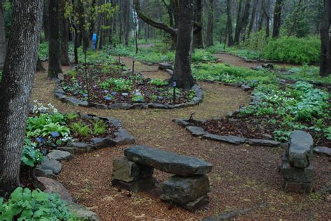 Shade Love This Woodedshade Garden Ideas Backyard Garden Diy