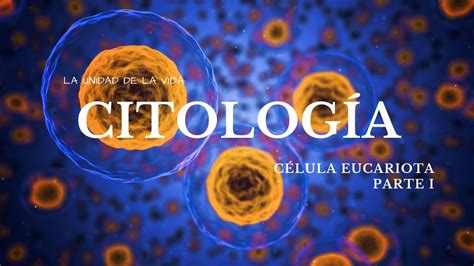 CÉlula Eucariota I Pared Celular GlucocÁlix Membrana Celular