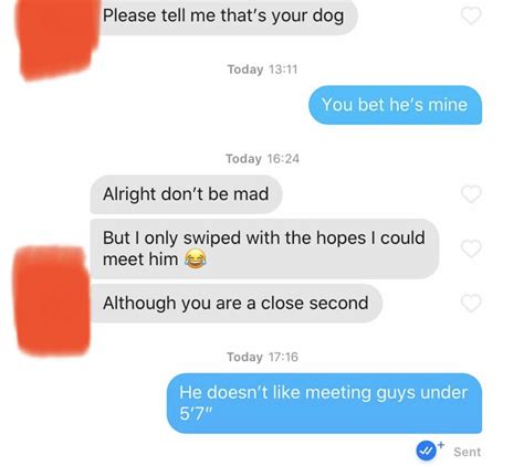 Simply 17 Cringeworthy Tinder Pick Up Lines That Got Exactly The