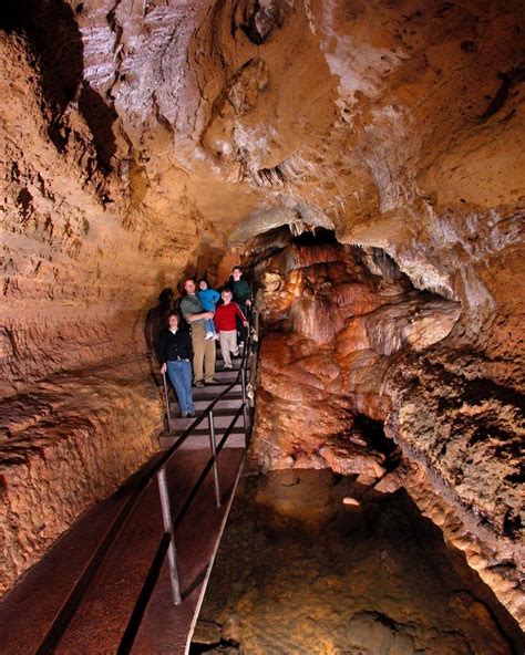 Find 300 Million Year Old Fossils At Cave Of The Mounds In Wisconsin