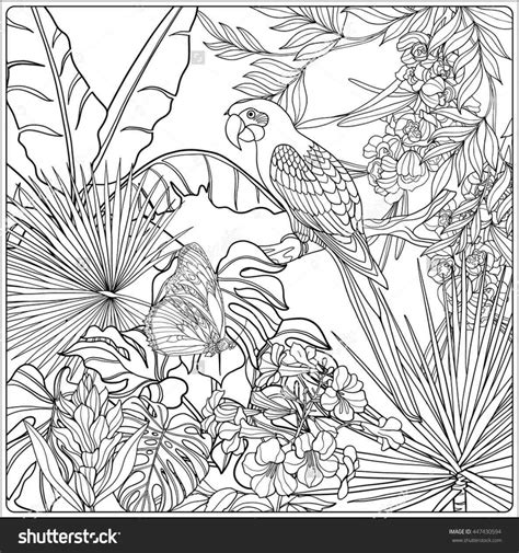 Coll Coloring Pages Tropical Leaves Coloring Pages Tropical Plants