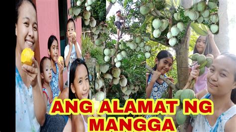 Akyat Sa Puno Ng Mangga Challenge Mangga For Sale Hakhakhakhak Youtube