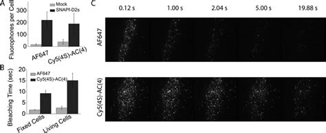 Cy54sac4 Improves Cellular Imaging A Number Of Fluorophores Per