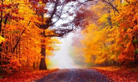 Jika kamu ingin mengombinasikannya dengan warna yang lain. √ Kata-Kata Maaf Menyambut Idul Fitri 2021, Quotes ...