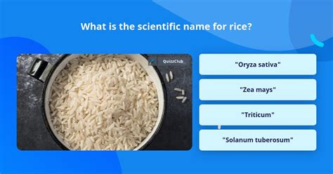 What Is The Scientific Name For Rice Trivia Answers Quizzclub