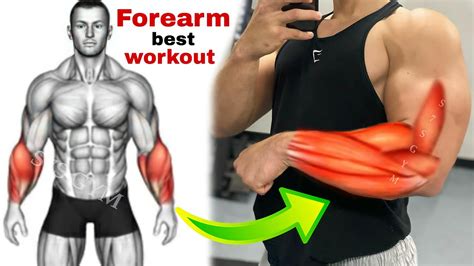 Best Forearm Workouts For Men Insiders Fitness