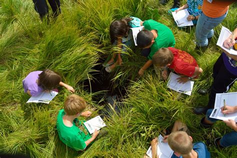 Tell Us About Your Citizen Science Work National Geographic Education