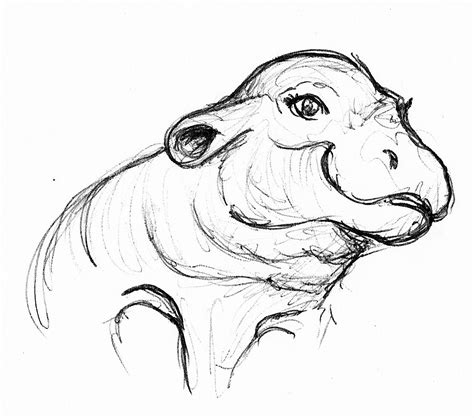 Ds Sketch Blog 111 Baby Pygmy Hippo